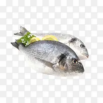 美食活斑鱼