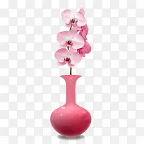 粉色花插在花瓶里