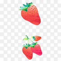 水彩手绘插画标签插图新鲜草莓