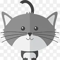 银灰色小猫