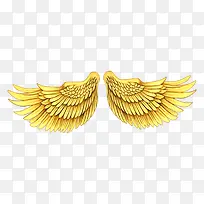 金色的翅膀