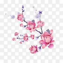 手绘花卉