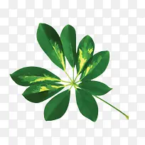 漂浮花瓣气泡简洁大方树叶树丛