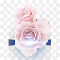 粉红色玫瑰花免抠素材