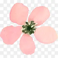 粉色花瓣花朵