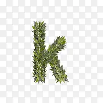 绿叶字母k