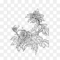 菊花工笔画素材