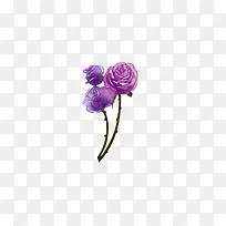 紫色三朵玫瑰花