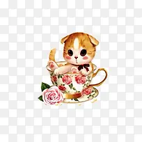 可爱猫咪