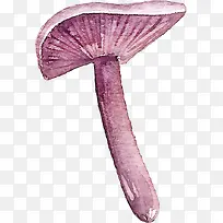 手绘紫色蘑菇