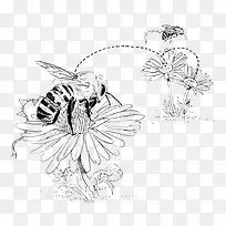 采蜜的蜜蜂图案线稿