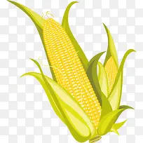 玉米与爆米花图片