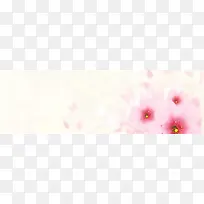 肉色花朵背景banner