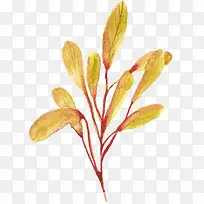 黄色植物图PNG