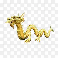 实物金龙