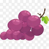 矢量图紫色水晶葡萄