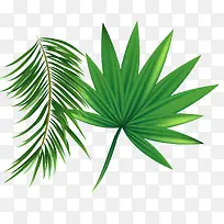 绿色热带植物叶子矢量图