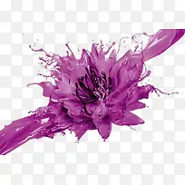 油漆紫荆花