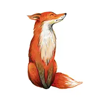蹲坐的狐狸