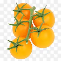 黄色的番茄免抠素材