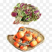 蔬菜水果手绘画素材图片