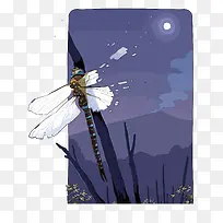 矢量蜻蜓