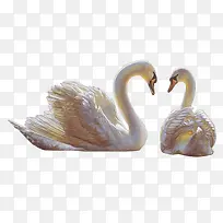3D白色天鹅可爱免抠图形