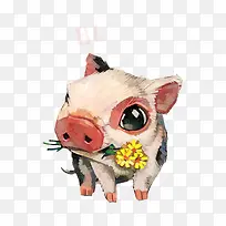 送花的猪图片素材