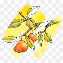 柑橘简笔涂鸦画