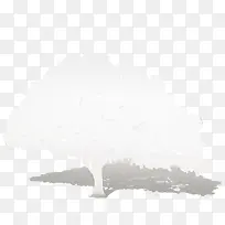 白色的树