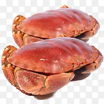 珍宝螃蟹