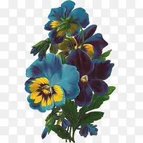 古典手绘蓝色鲜花