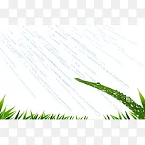 暴雨滋润植物