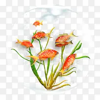 气泡