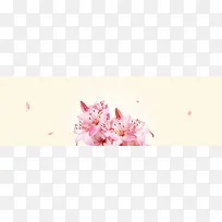 淘宝广告banner