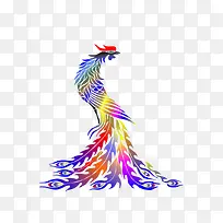 彩色孔雀