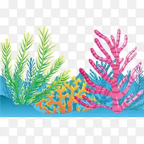 彩色大海海底珊瑚