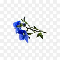 手绘鲜花手绘鲜花素材  蓝色花枝