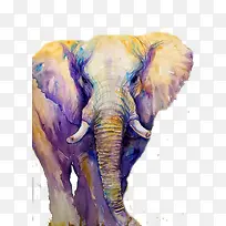 油彩的大象