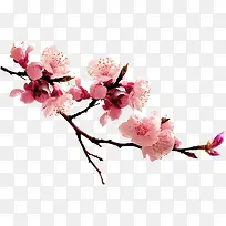 梅花装饰元素