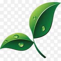 绿色树叶露珠修饰植物矢量