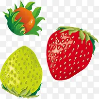 红草莓绿草梅矢量水果