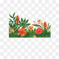 夏日红色花朵花丛