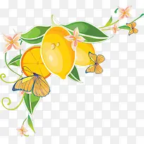 彩绘橙子装饰图片