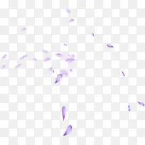 飞舞的紫色花瓣