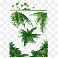 手绘椰子树