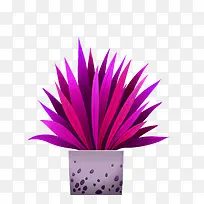 炫彩紫色盆栽植物