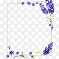 手绘紫色花纹框框