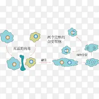 用灭活病毒诱导动物细胞融合