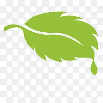 绿色绿叶减肥logo